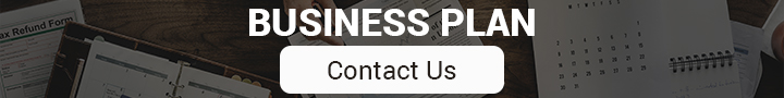 Business Plan Consultant