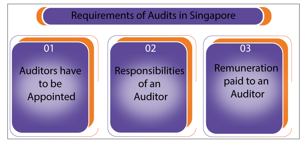 Audits in Singapore | Audit Firm in Singapore - Enterslice
