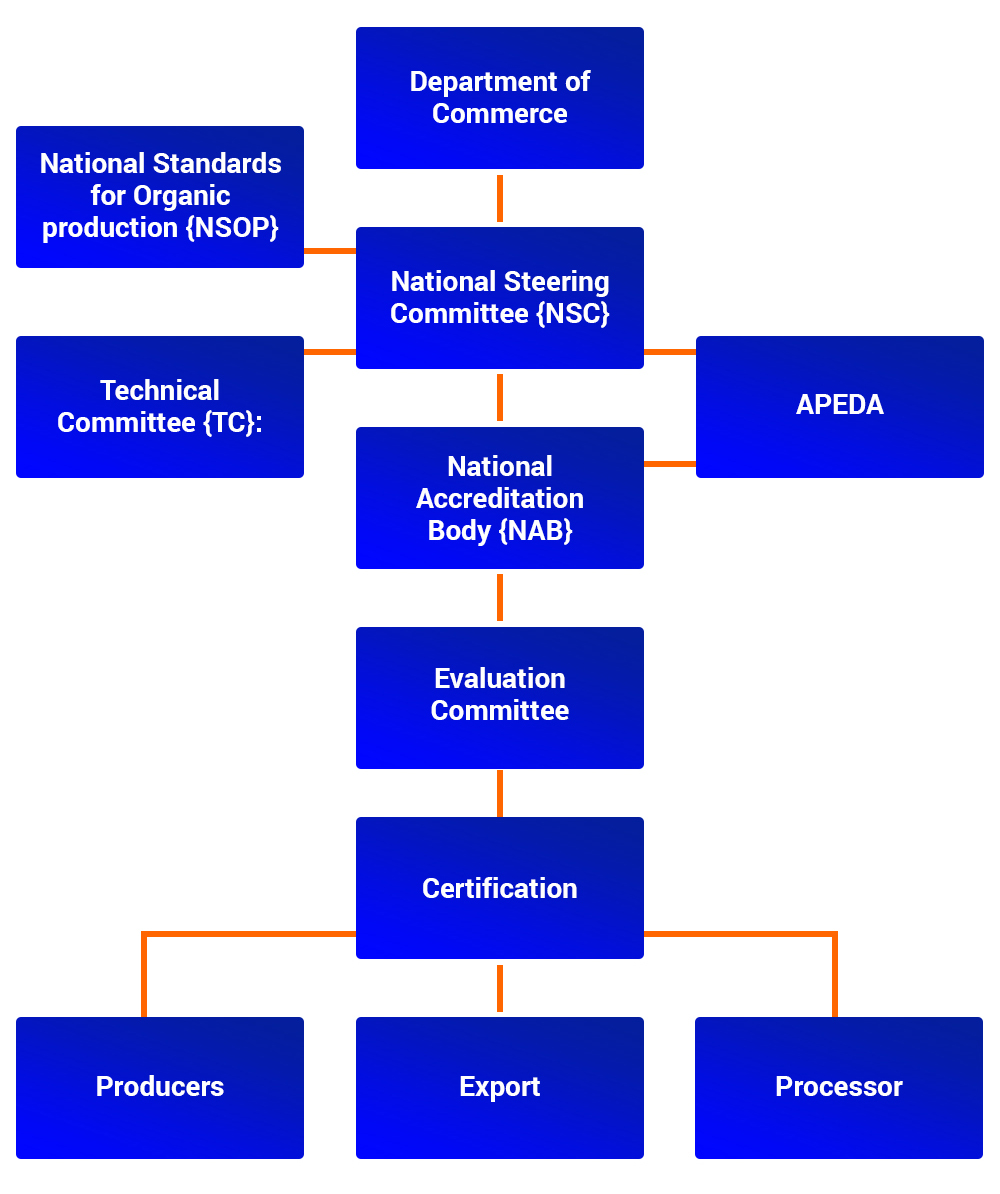 Operational Structure of NPOP