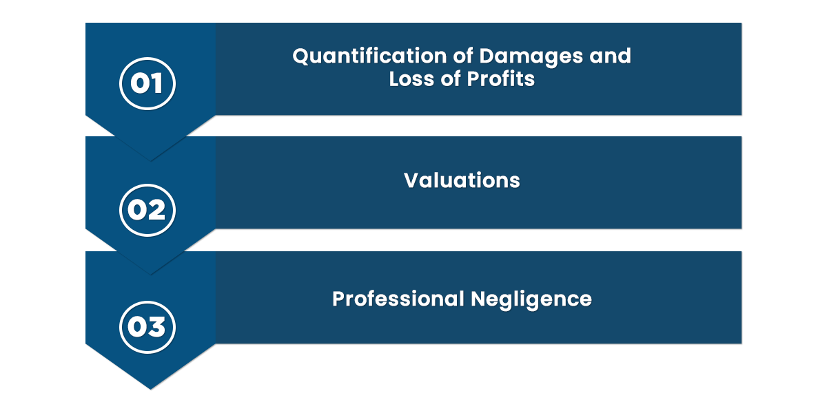 The critical areas of work for Forensic Accountants