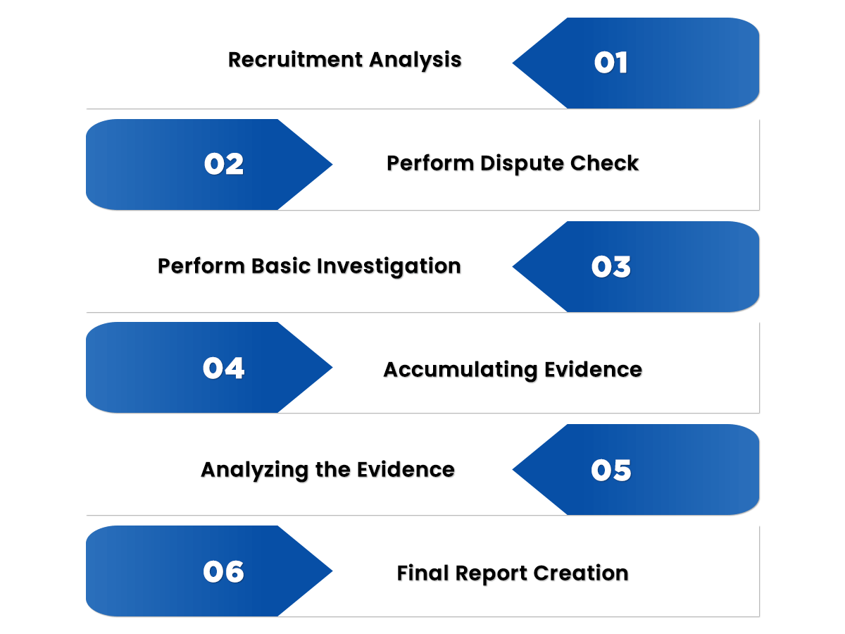 forensic accounting process