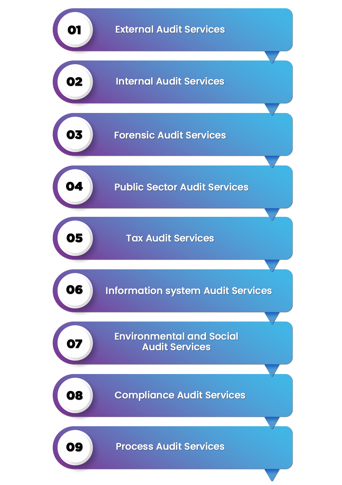 Types of Global Audit Services
