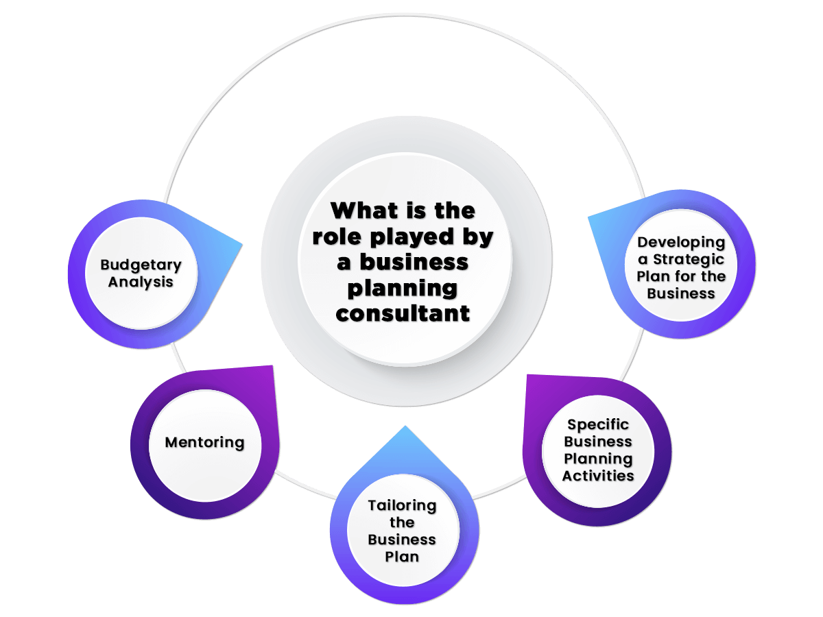 role played by a Business Planning Consultant