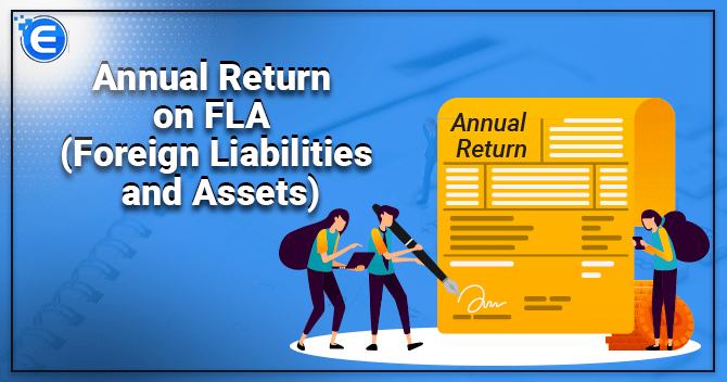 Annual Return on Foreign Liabilities and Assets