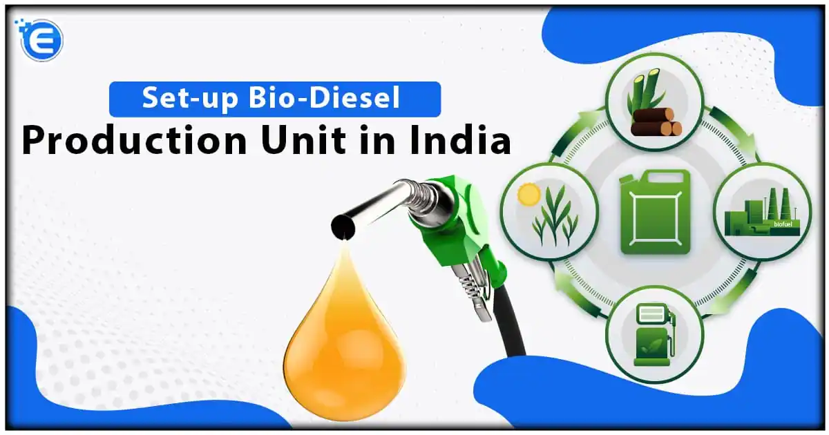 Set-up Bio-Diesel Production Unit in India