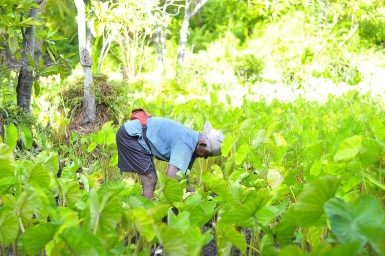 Farmer Producer Organization