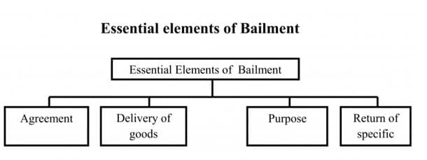 contract of bailment assignment