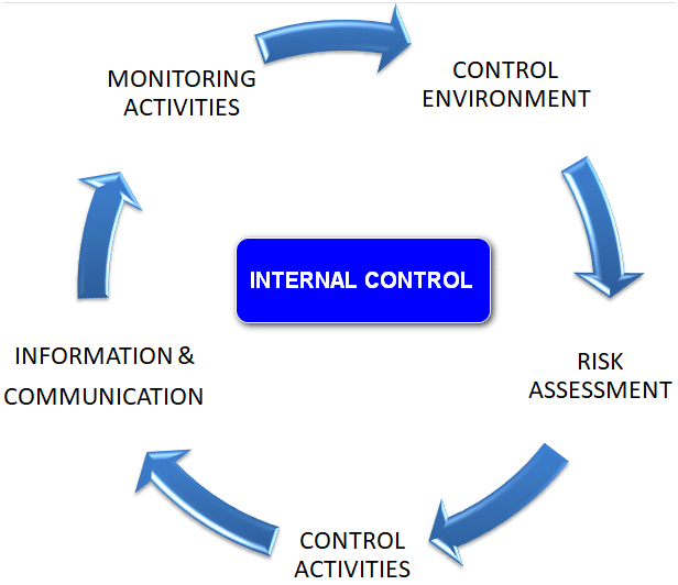 Components of internal Control System