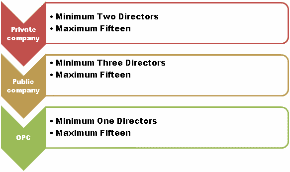 director requirement