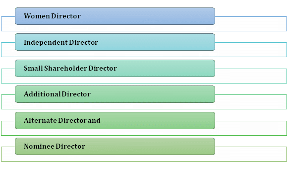 Types of Director