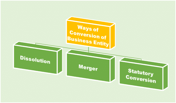 conversion of Business Entity