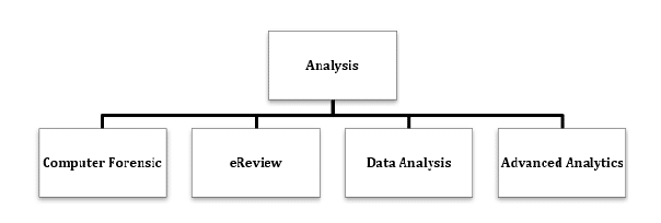 Analysis Process