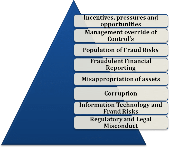 Fraud Risk Identification