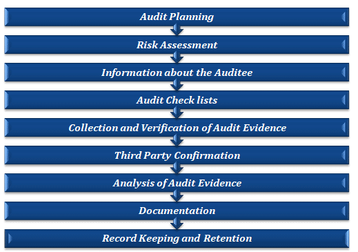 Conduct Proper Audit Process