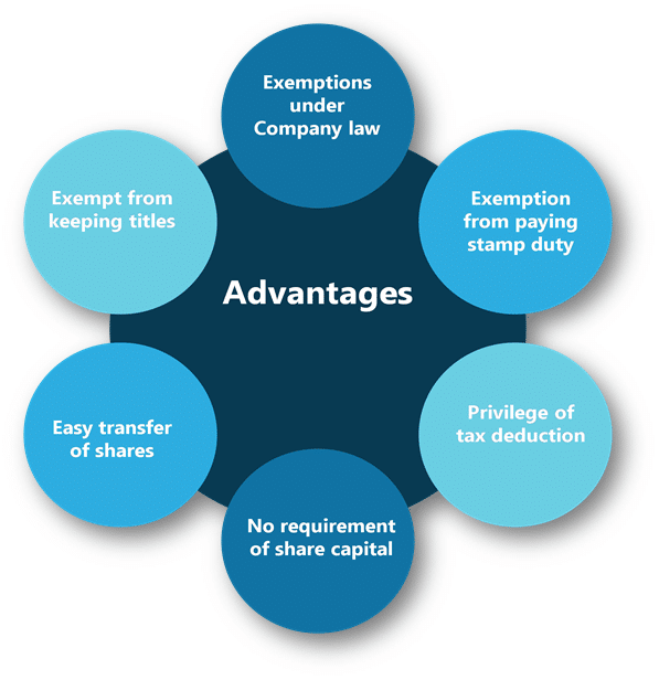 Advantages of a Section 8 Company