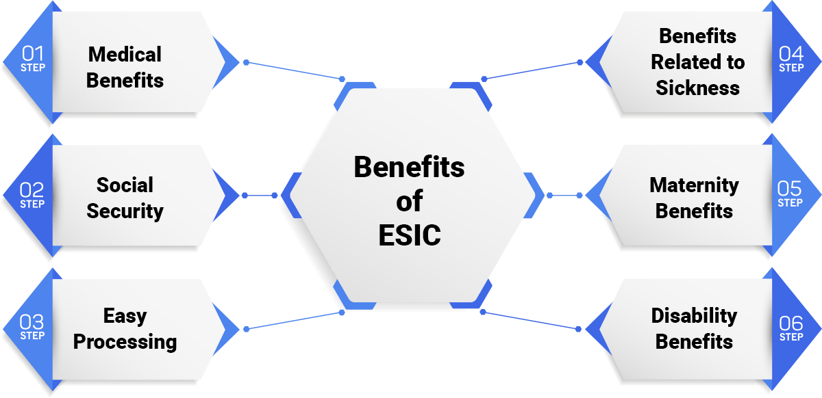 esi-return-filing-esi-return-online-enterslice