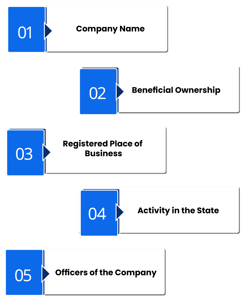 Eligibility Criteria for Company Registration in Ireland