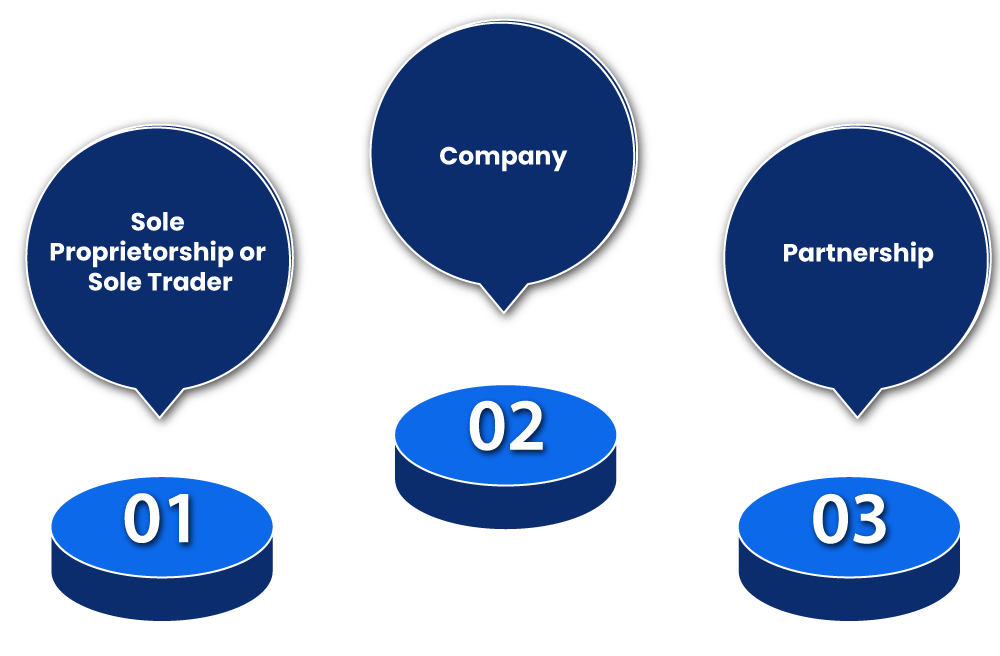 Types of Structures for Company Registration in New Zealand