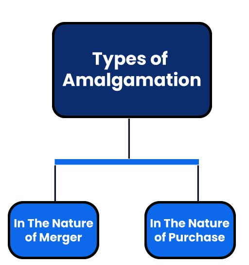 Types of Amalgamation
