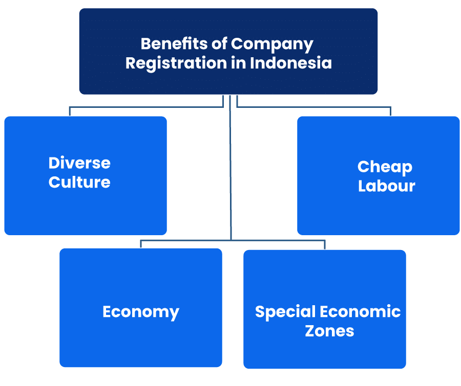 Benefits of Company Registration in Indonesia