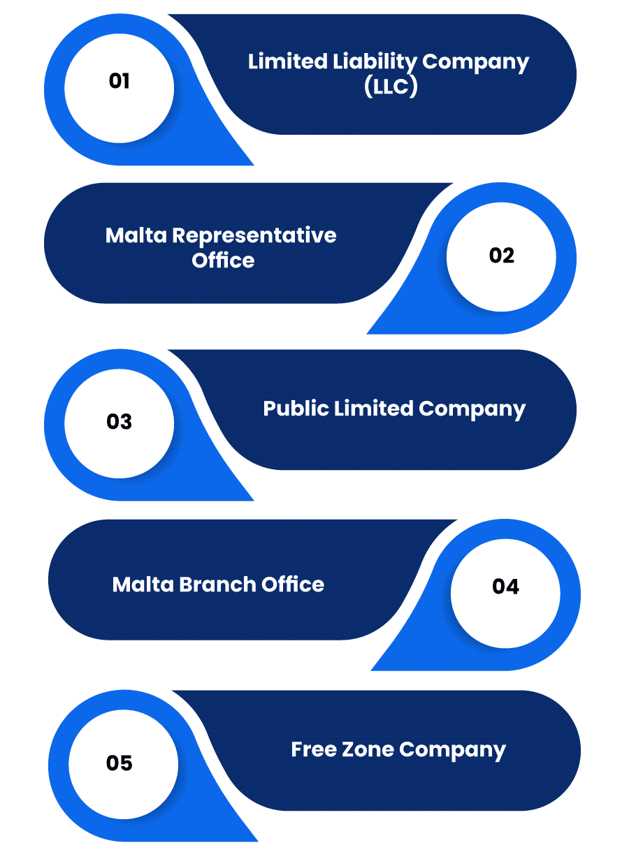 Eligible Business Structures for Company Registration in Malta