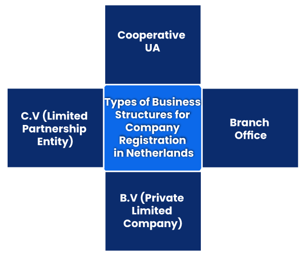 Types of Business Structures for Company Registration in Netherlands