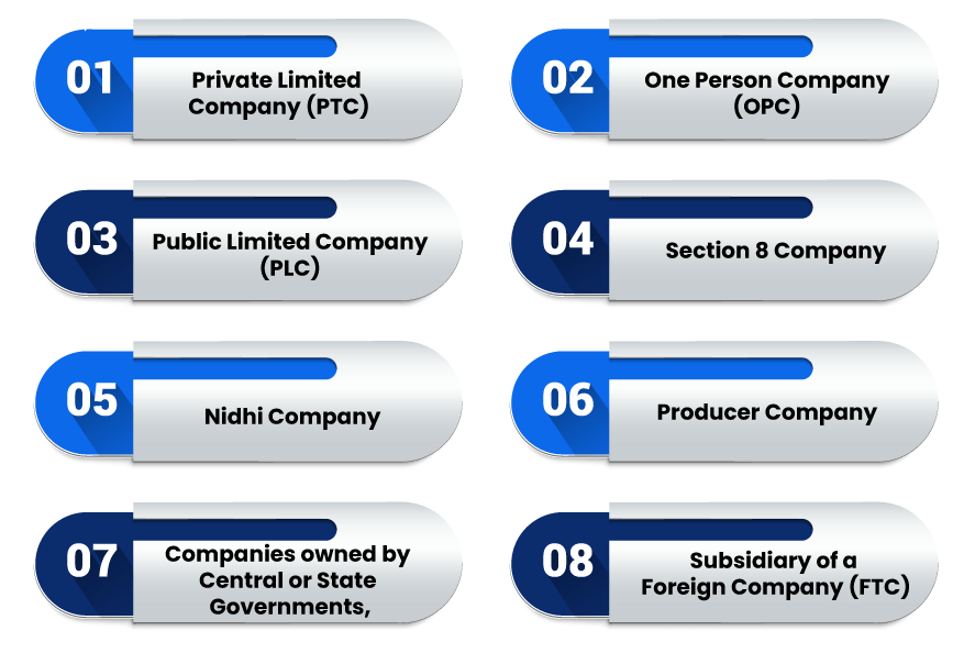 Corporate Identification Number stand for
