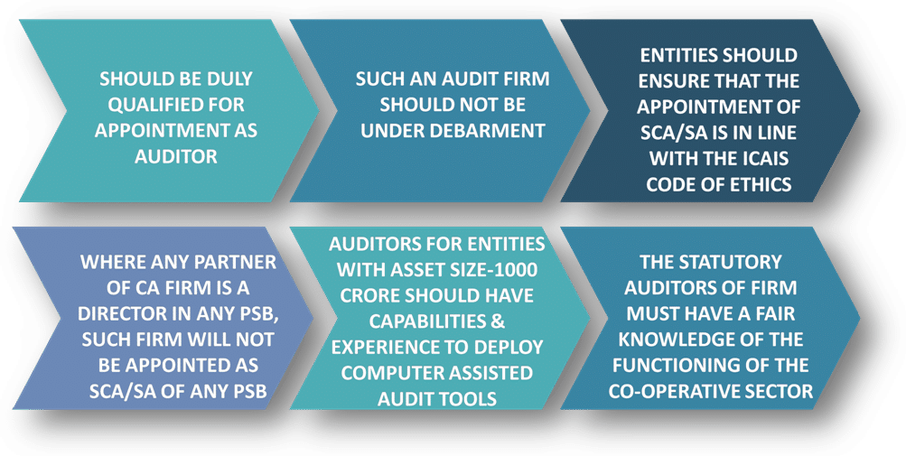 Additional consideration for appointment of Statutory Auditors/Statutory Central Auditors