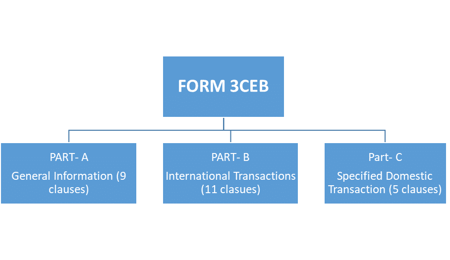 Format of Form 3CEB