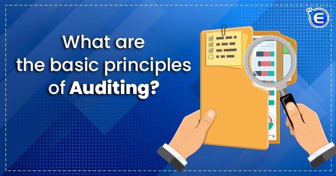 What Are The Basic Principles Of Auditing?