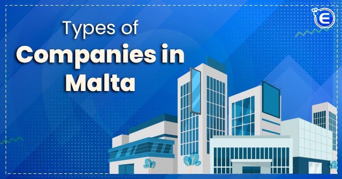 Types of companies in Malta