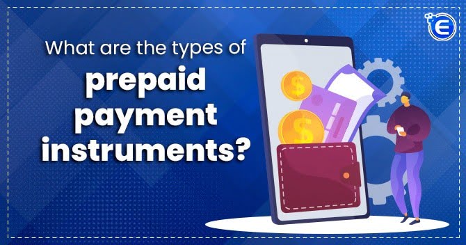 What are the types of prepaid payment instruments?
