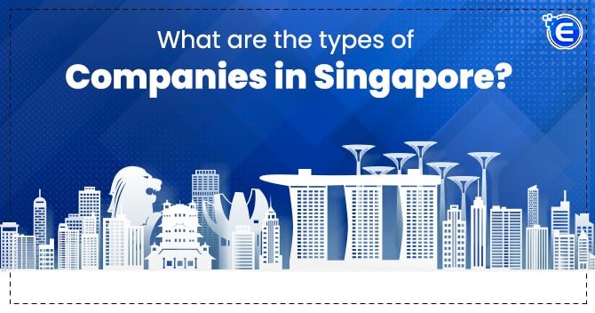 What are the types of companies in Singapore?