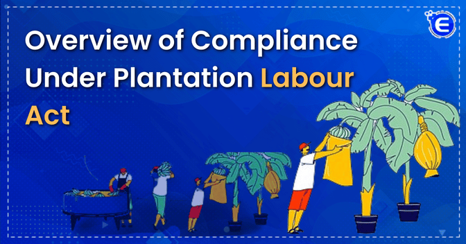 Plantation Labour Act