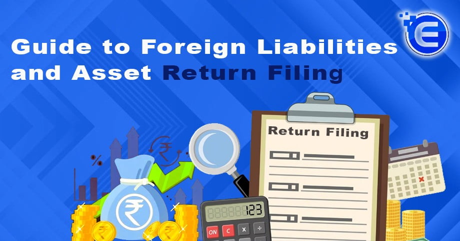 Guide to Foreign Liabilities and Asset Return Filing