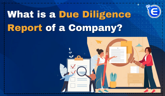 What is a Due Diligence Report of a Company?
