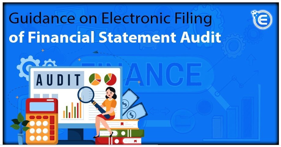 Guidance on Electronic Filing of Financial Statement Audit