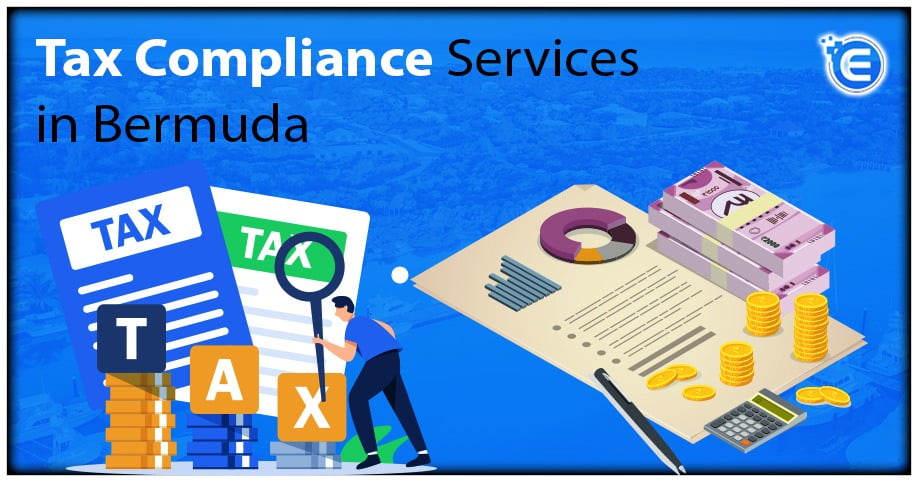 Tax Compliance Services in Bermuda