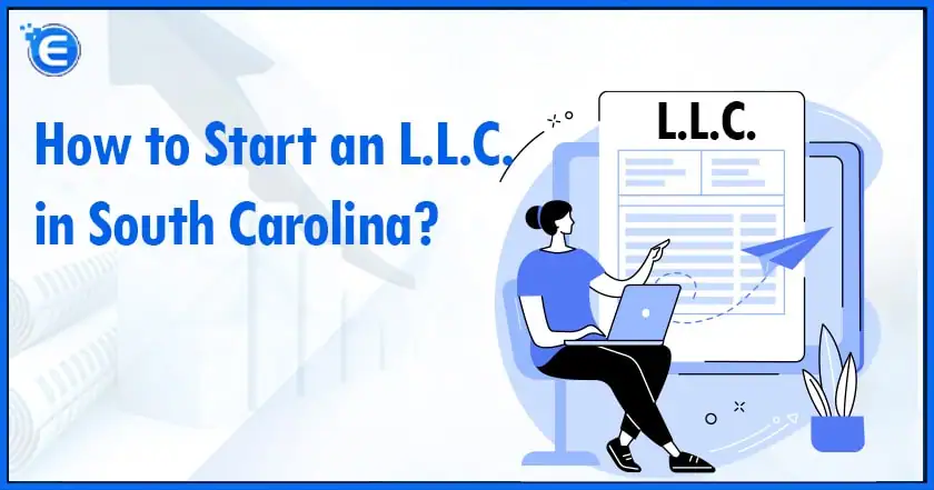 How to Start an L.L.C. in South Carolina?
