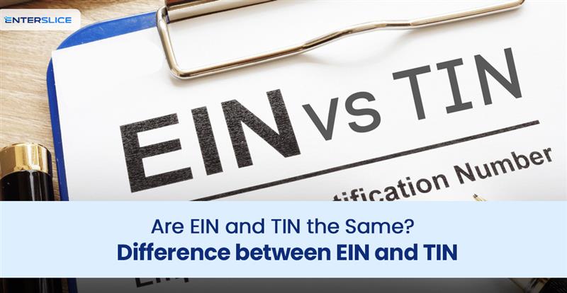 Difference in EIN and TIN