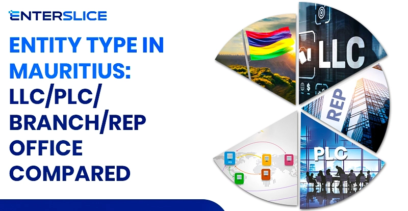 Entity Type in Mauritius